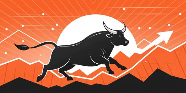 Bull Run Meaning in Crypto