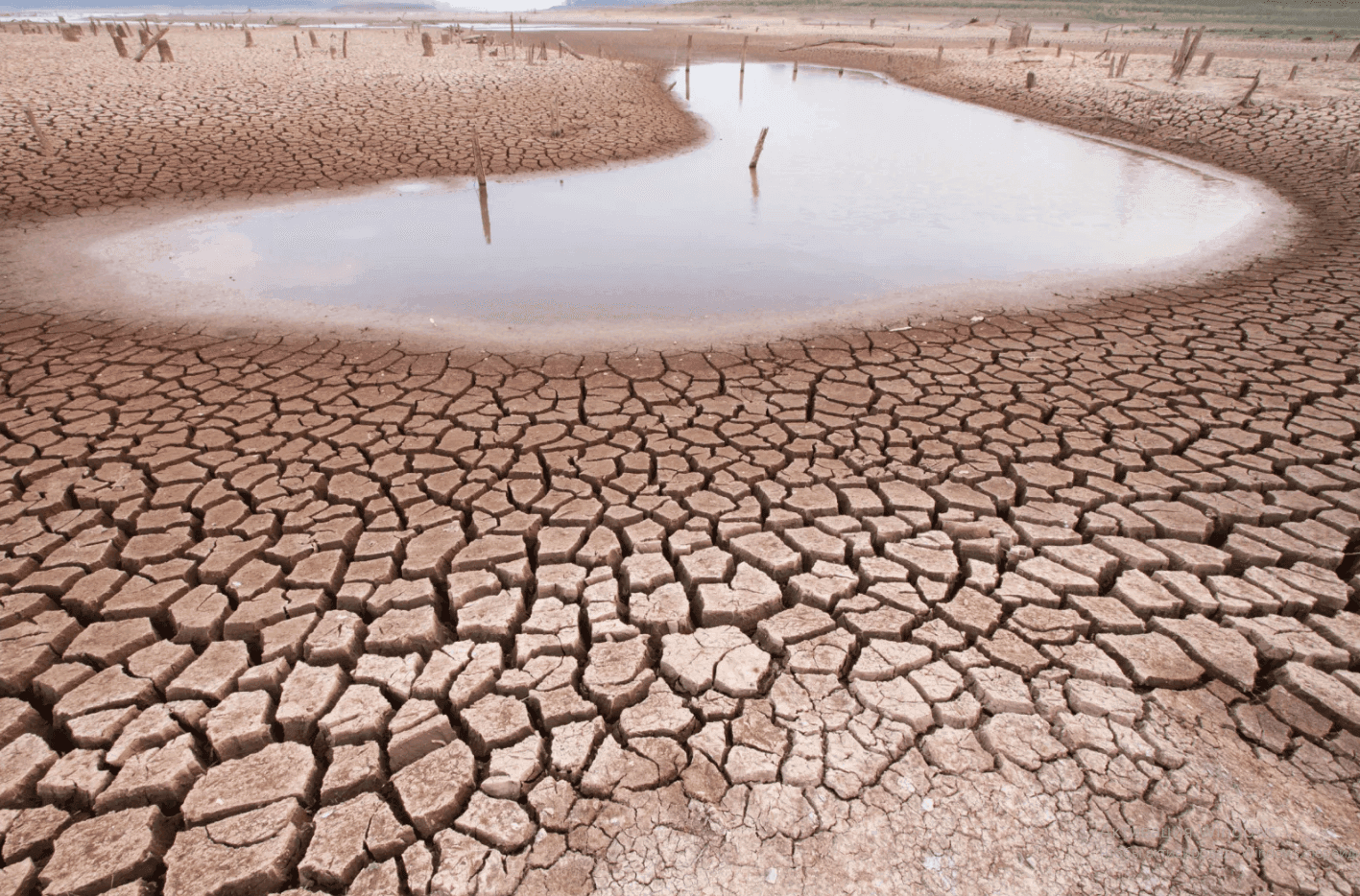 Drought Spreads Across Kenya After Failed 2025 Rains