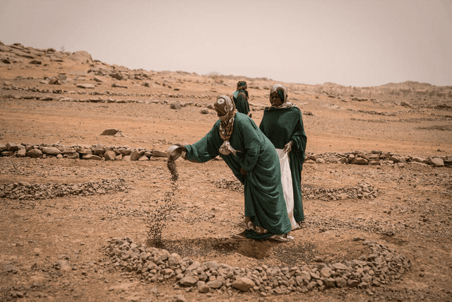 Reinventing Africa’s Food and Trade Systems Through First-Mile Reform