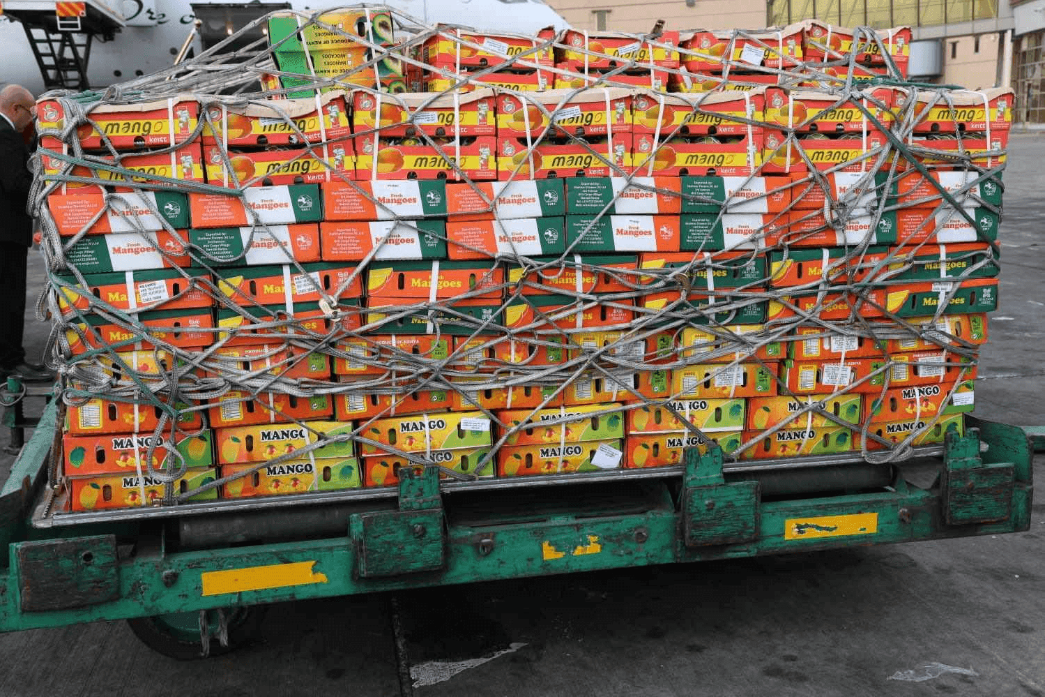 Kenya Breaks Into UK Premium Fruit Market With First Apple Mango Export