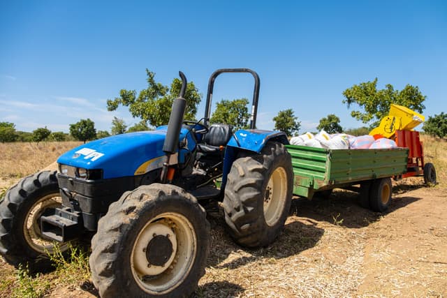 Warc moves Ghana, farmers, from subsistence to sales