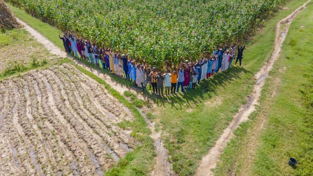 Boosting Agribusiness Competitiveness in West Africa through Co-investment Partnerships