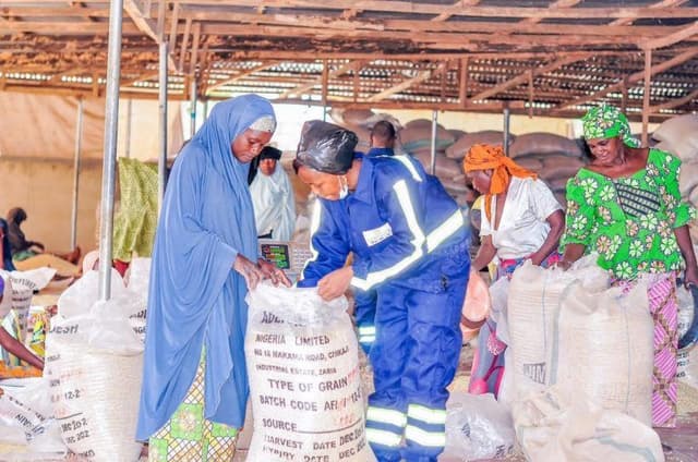 Trade Hub Partnership with Adefunke Desh Nigeria to Ensure Quality Grains, Support Farmers’ Incomes, and Feed Nigeria’s Growing Population