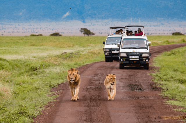 Tourism to Africa Rises as Global Travel Demand Breaks Records