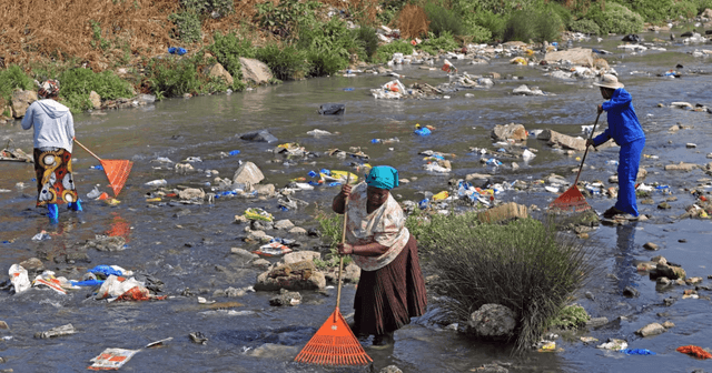 Community volunteers tackle pollution and flooding along the Jukskei River