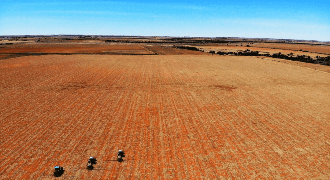 West Africa Awaits Release of Stranded Russian Fertilizer as Global Shortages Persist